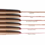 LUMIMI Lūpų pieštukas Lumimi.lt 25